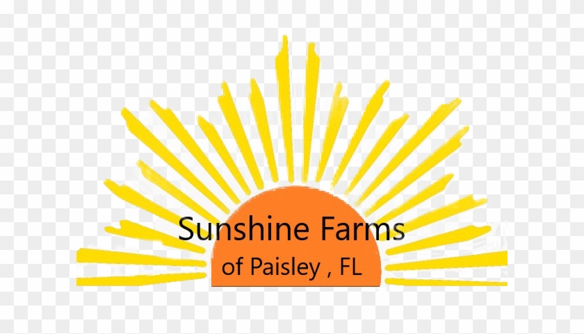 Rising Sun Logo Png Clipart