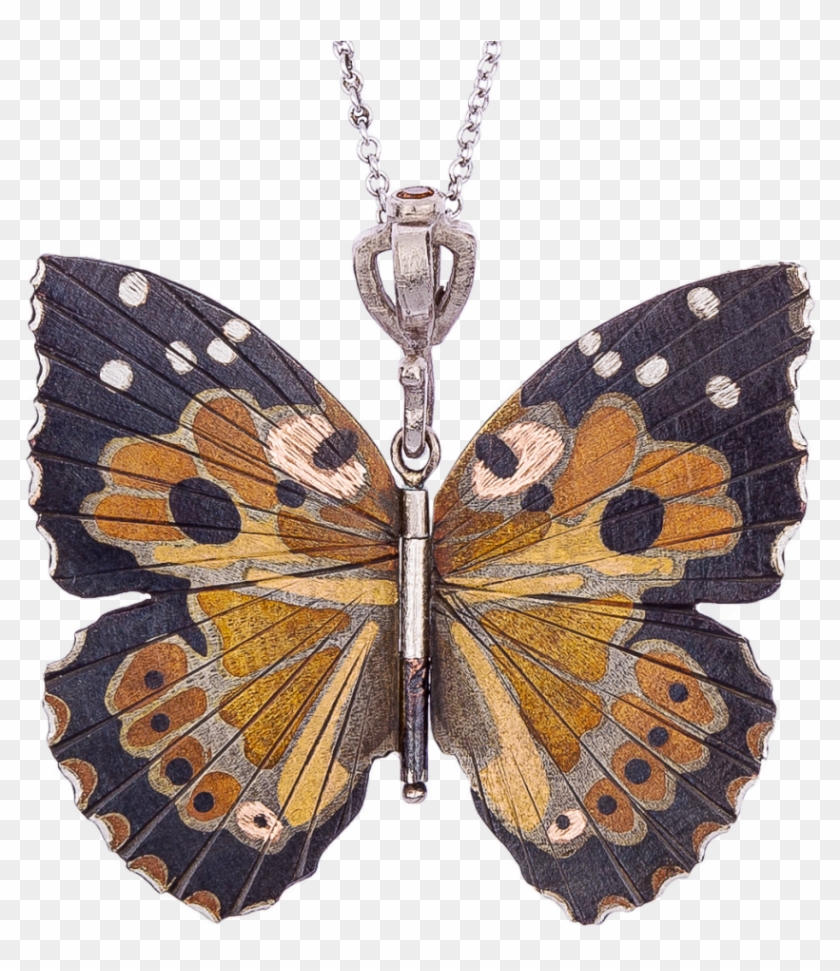 The Kamehameha Butterfly - Kamehameha Butterfly Blue Clipart