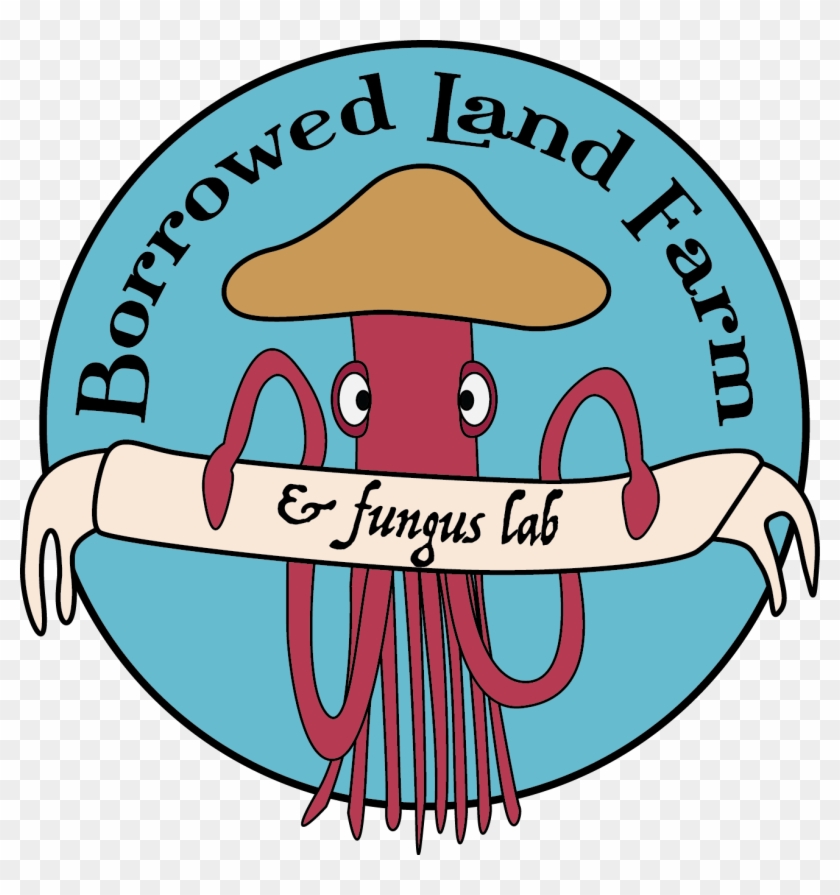 Tree Oyster Grain Spawn Borrowed Land Farm And Fungus Clipart #722972