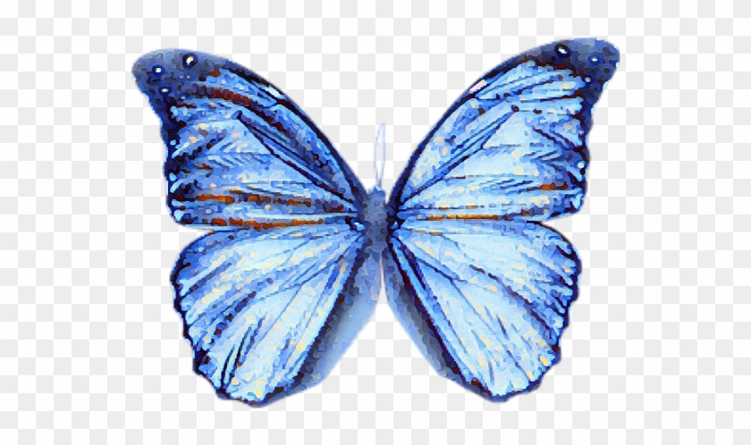 Butterfly Blue Watercolour Blur Effect - Butterfly Wings Clipart #722998