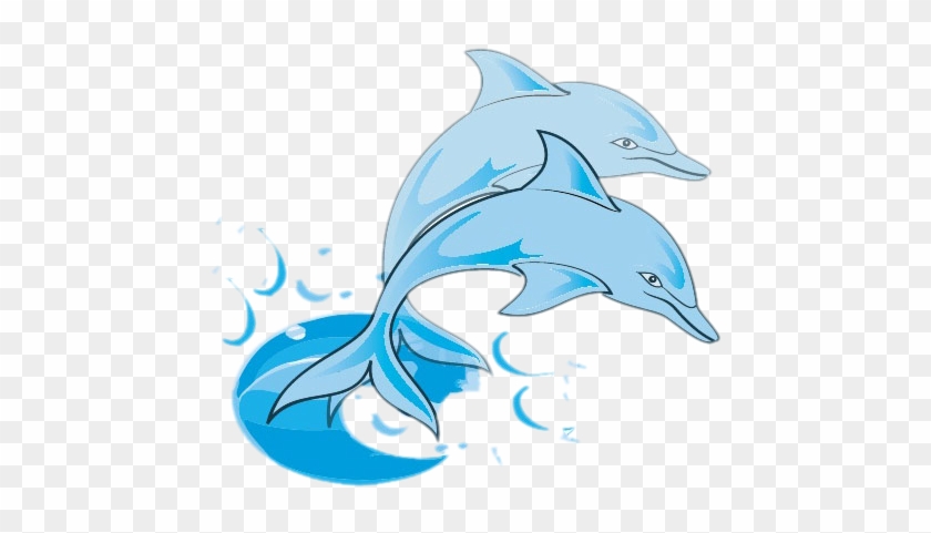 Bottlenose Dolphin Clip Art - Dodson Middle School - Png Download