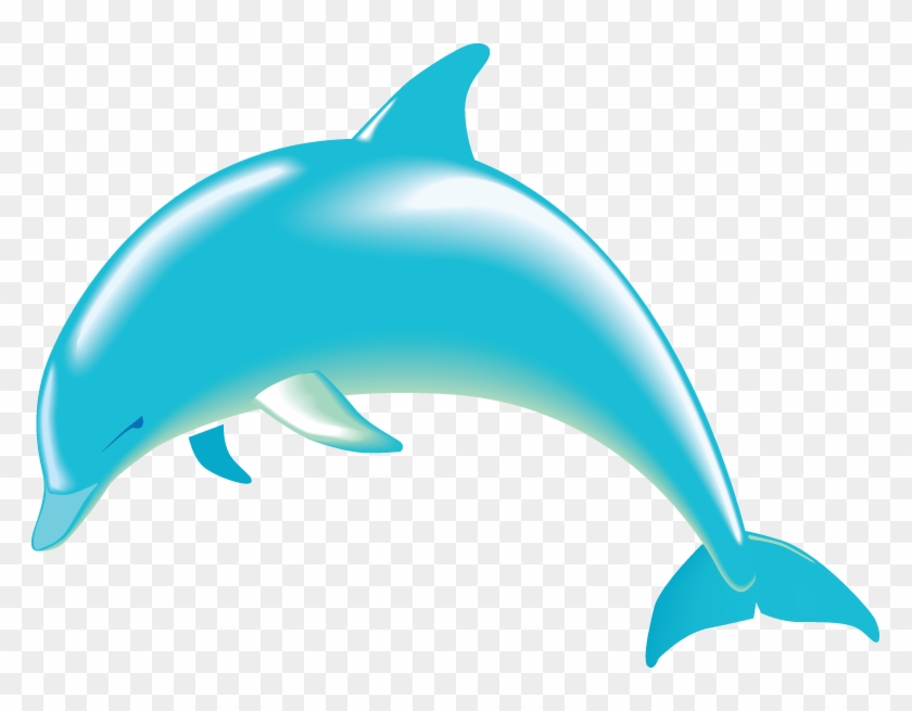 28 Collection Of Clipart Of A Dolphin - Dolphin Clipart Transparent Background - Png Download #723689