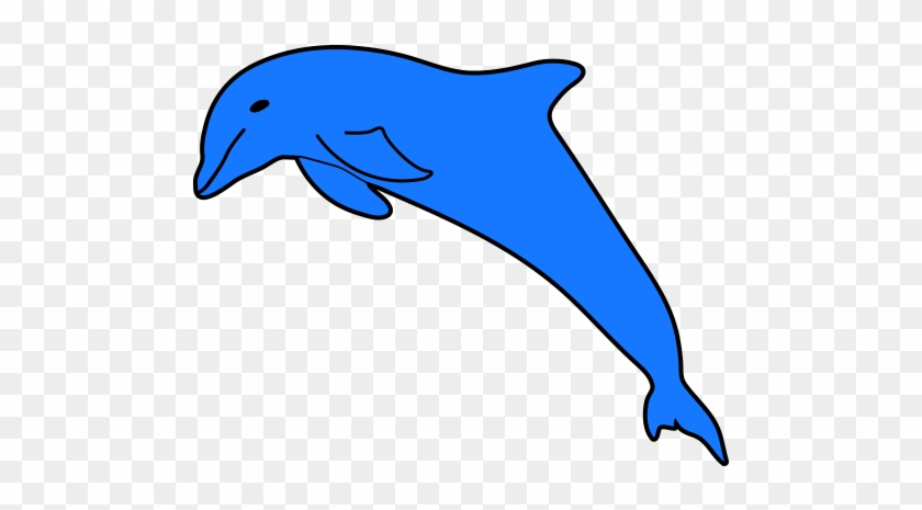 Dolphins Clipart Page - Common Bottlenose Dolphin - Png Download