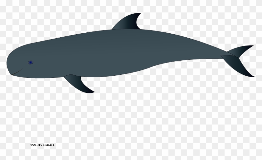Dolphins Clipart Transparent Background - Wholphin - Png Download