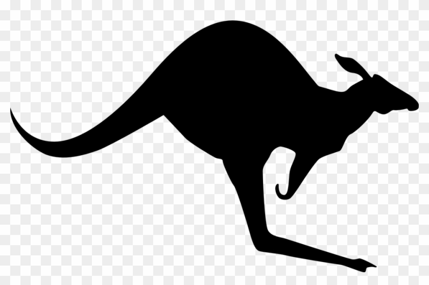 Kangaroo Png Hd - Clipart Kangaroo Australia Transparent Png
