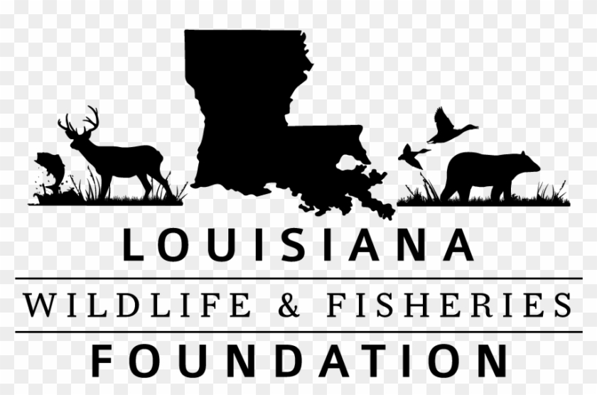 Louisiana Wildlife And Fisheries Foundation - Southern University And A&m College Clipart