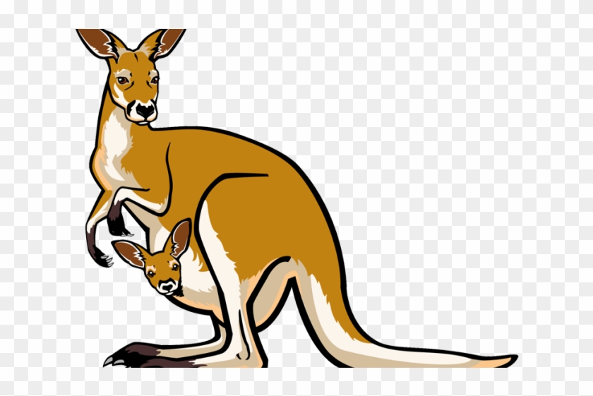 Clipart Free Download Clipart Free On Dumielauxepices - Clip Art Kangaroo Clipart - Png Download #726499