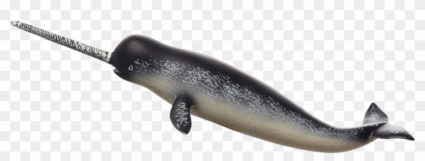 Whale Papo Clipart #726503