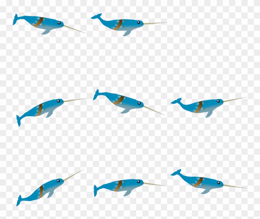 Narwhal Png Clipart 726530 Pikpng