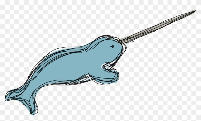 Narwhal , Png Download - Transparent Background Narwhal Clipart