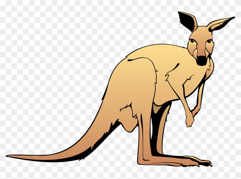 Kangaroo - Kangaroo Clipart - Png Download #726747