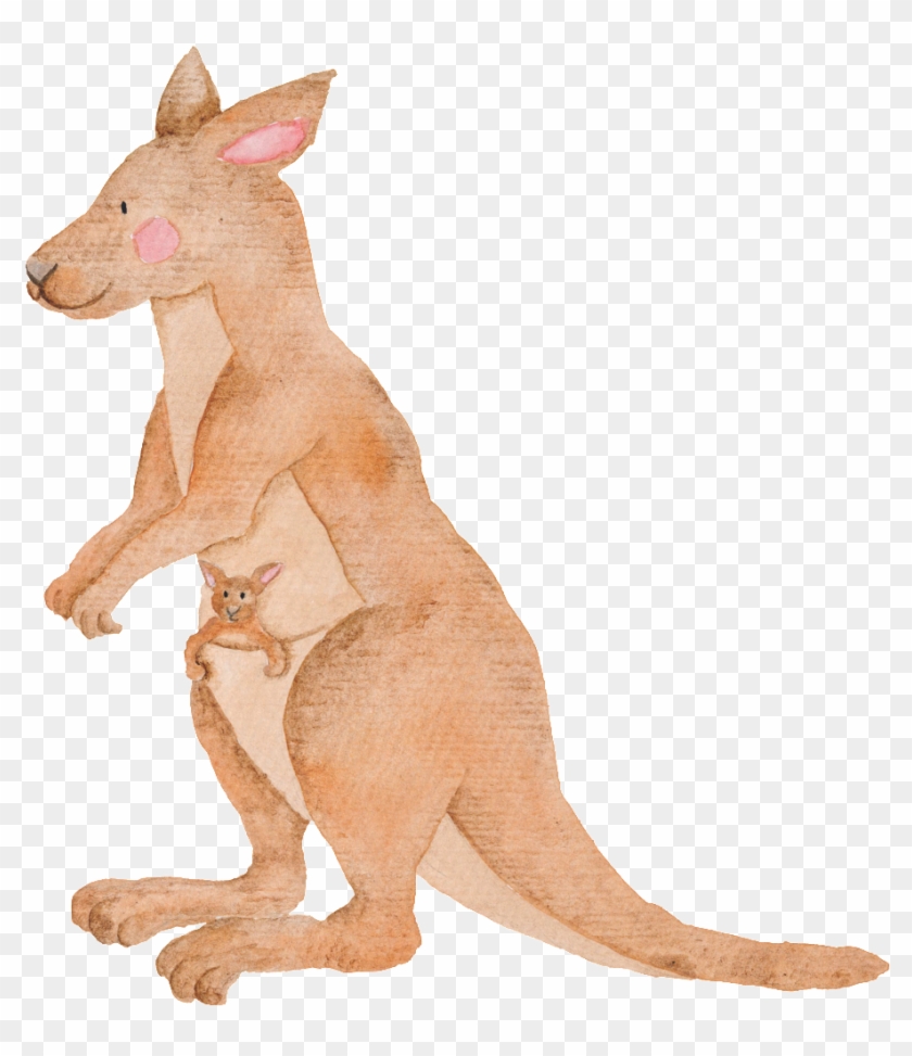 Hand Painted Kangaroo Transparent Animal Png Clipart #726773