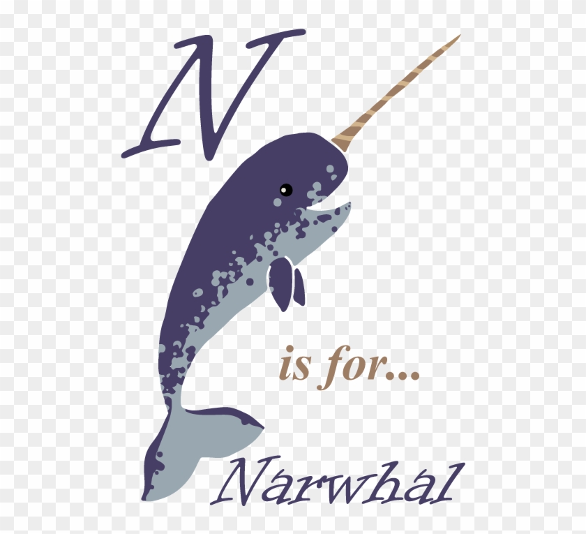 Narwhal Steven Selby Art - Illustration Clipart