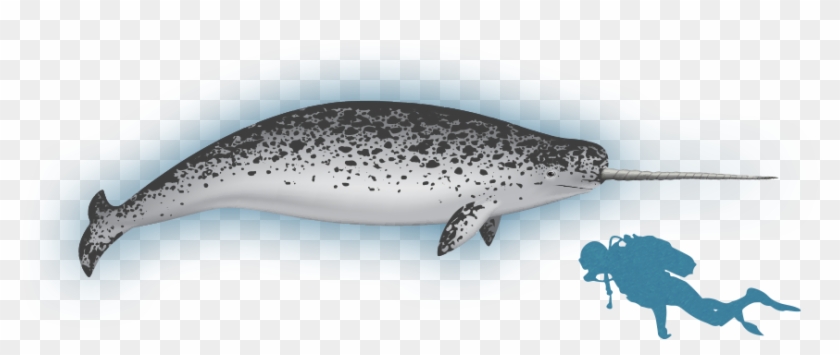 Koh Rong Samloem Map Clipart #728313