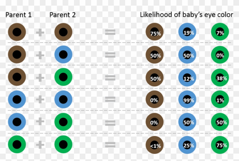 Free Png Download Colored Eyes Chart Png Images Background - Eye Colour Genes Clipart