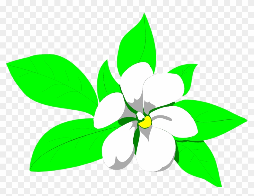 Thumb Image - Jasmine Flower Images Clipart - Png Download