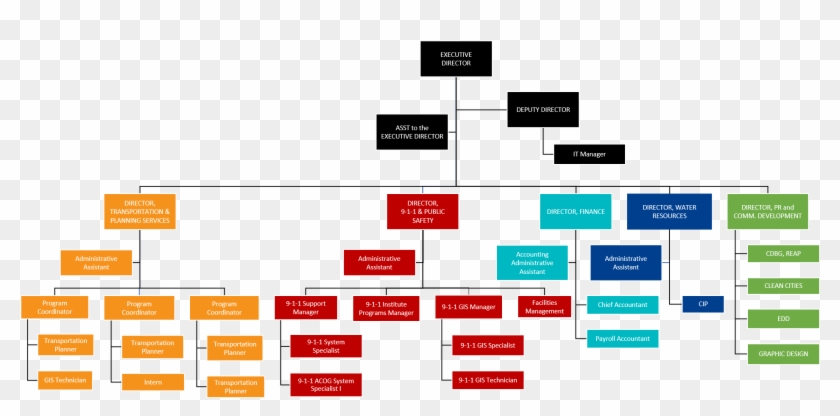 Organisation Chart Executive Assistant Clipart
