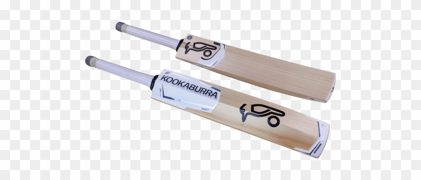 Kookaburra Ghost - Kookaburra Clipart #730680