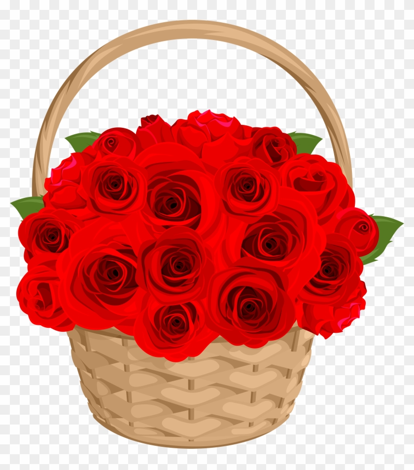 Rose Png - Transparent Background Flower Bucky Png Clipart #730712