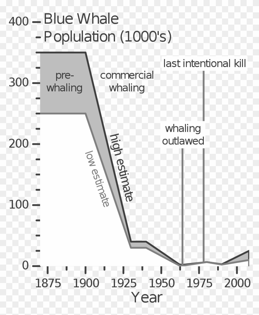 Blue Whale Population V1 - Blue Whale Statistics Clipart #731078