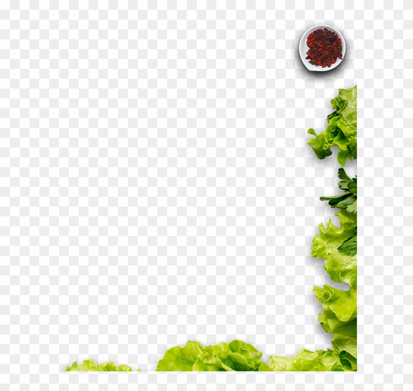 About Ss Hyderabad Biryani - Cruciferous Vegetables Clipart #731465