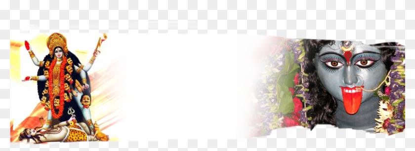 Img - Digitalis Clipart