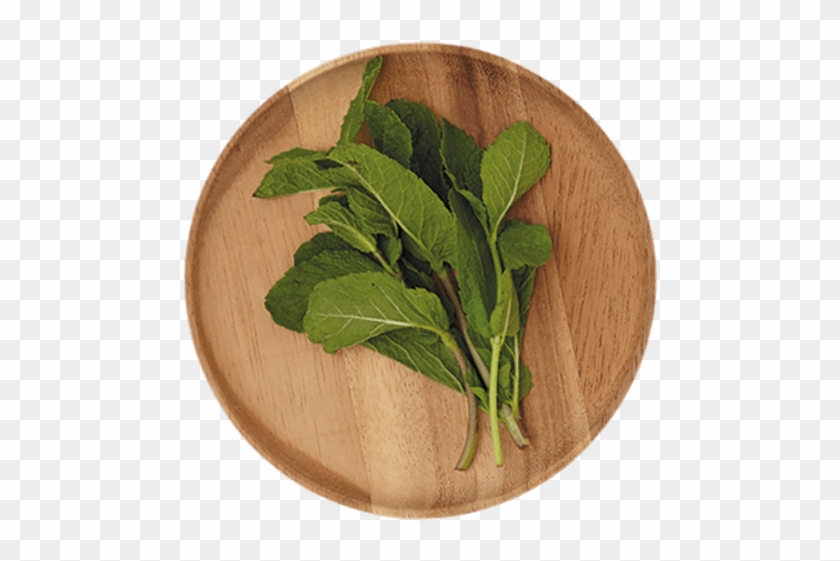 1 Bunch - Spinach Clipart