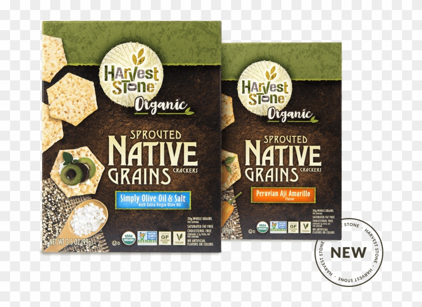 See The Flavors - Harvest Stone Amarillo Clipart #732873