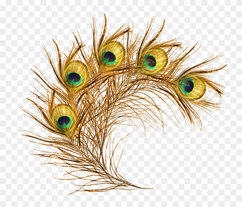 Jai Shri Krishna May Krishna's Blessings Bring You - Png Transparent Peacock Feather Clipart #734401