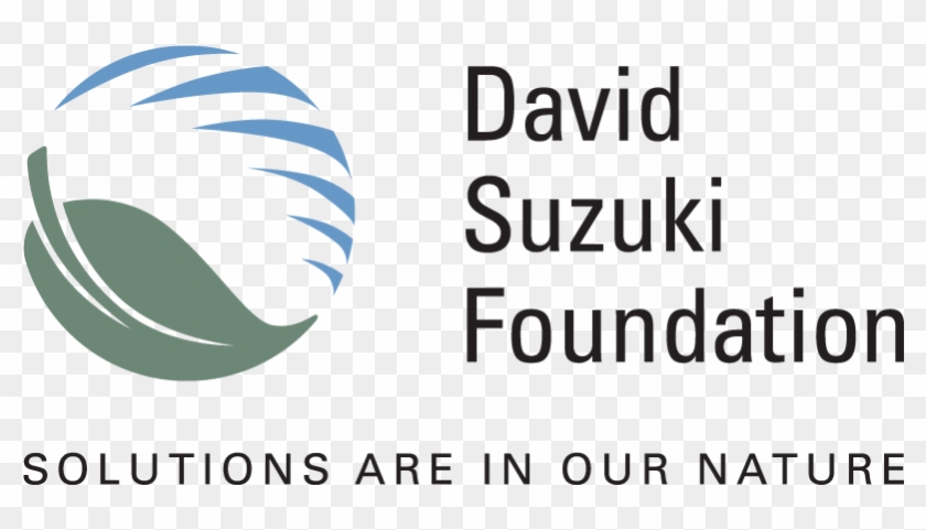 Federal Changes Needed To Meet First Nations Drinking - David Suzuki Foundation Logo Clipart