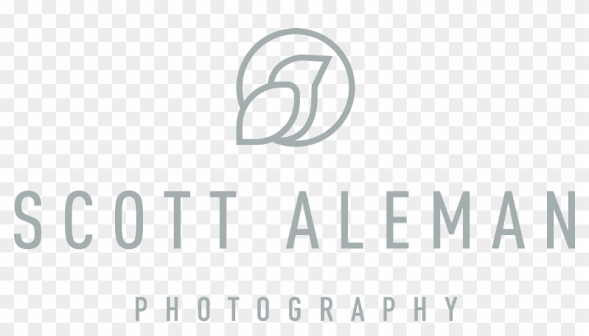 Dallas Wedding Photographers Scott Aleman - Calligraphy Clipart