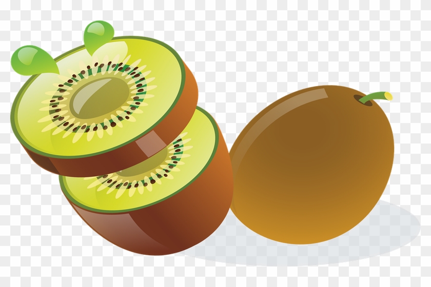 Kivi Vektör Png Clipart