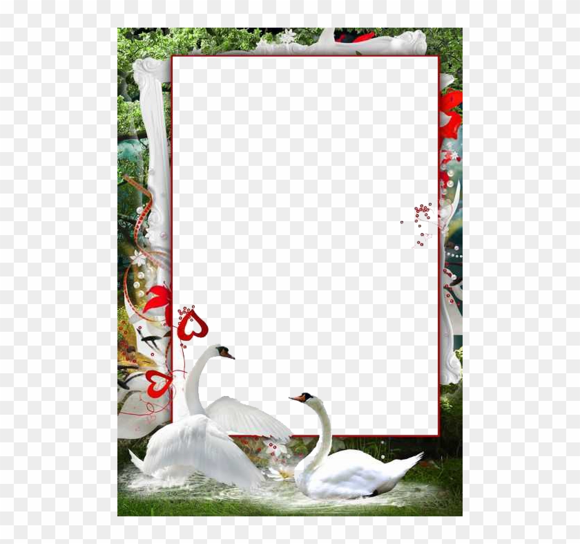 Love Frame Png Transparent Images Png All Clip Art - Hd Photo Frame Download Png #737643