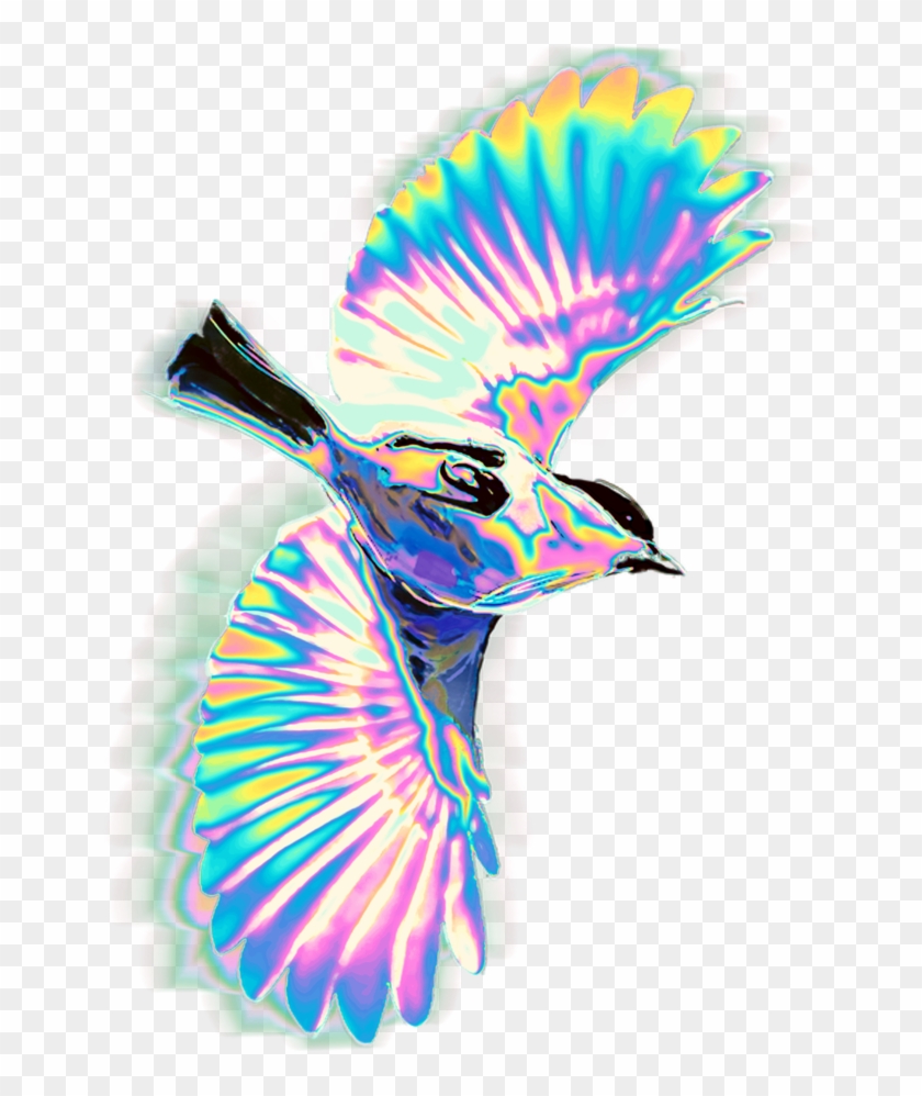 Bird Sticker - Phasianidae Clipart