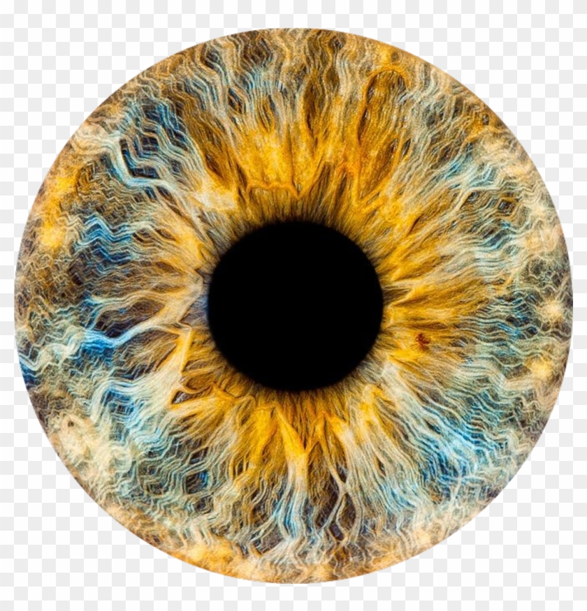 Eyes Sticker Eye Clipart (738369) PikPng