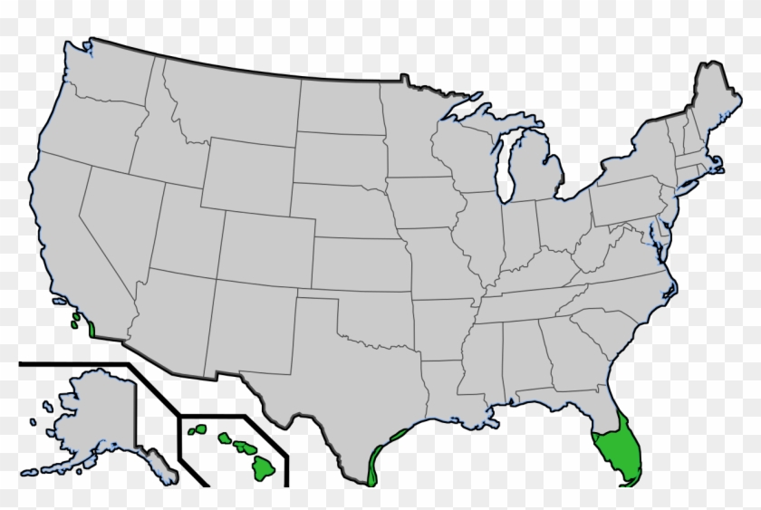 File - Coconutpalmsus - United States Of America Clipart #738893