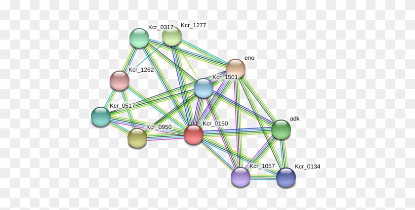 Circle Clipart #738925