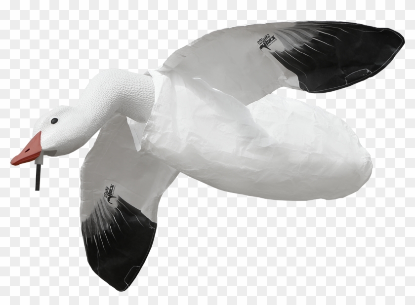 White Rock Decoys Clipart #739103