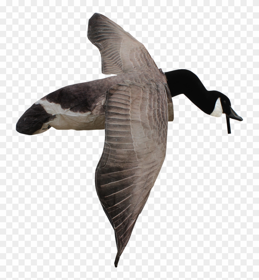 White Rock Decoys Deck Boss Canada Goose Decoy Clipart #739223