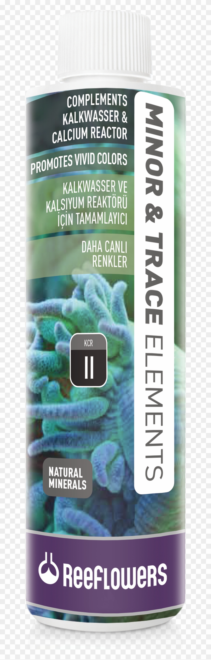 Special Formulas - Insect Clipart #739775