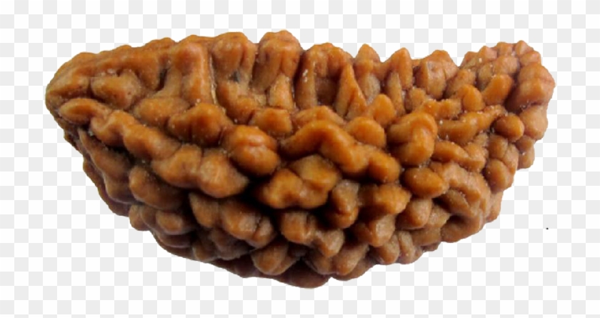 Ek Mukhi Rudraksha, Benefits And Powers - Price Of Ek Mukhi Rudraksha Original Clipart