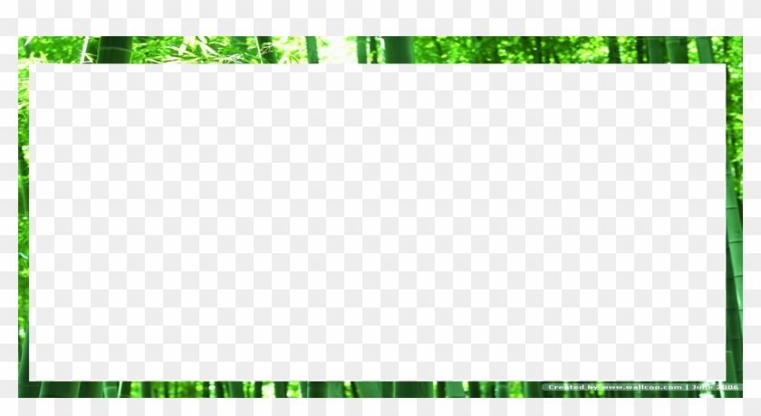 Vector Transparent Stock Bamboo Transparent Frame Borders Clipart