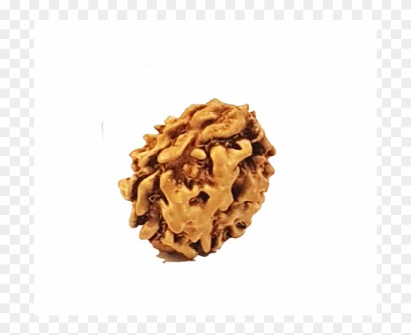 The Ruling Deity Of This Rudraksha Is Lord Ardha Nareeshwar - Lasagnette Clipart