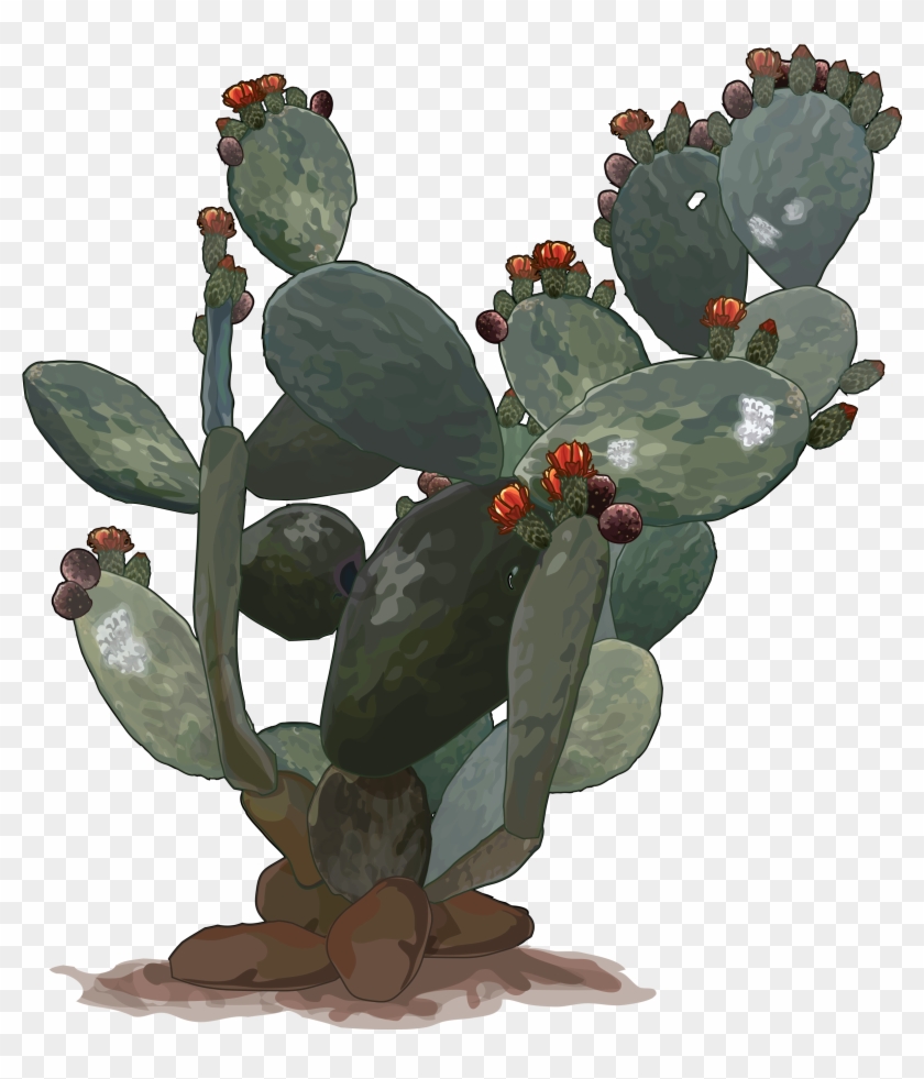 Nopal Png - Penca De Nopal Png Clipart