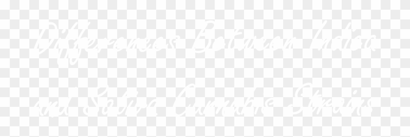 Differences Between Indica And Sativa Cannabis Strains - Johns Hopkins Logo White Clipart #741617