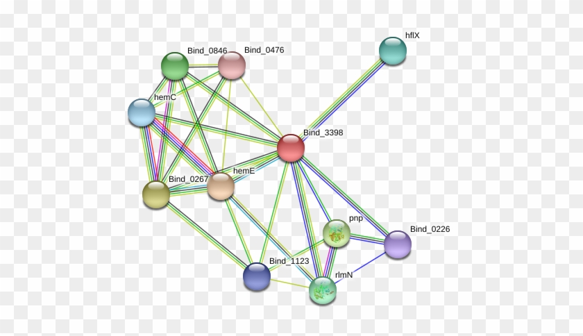 Circle Clipart #742163