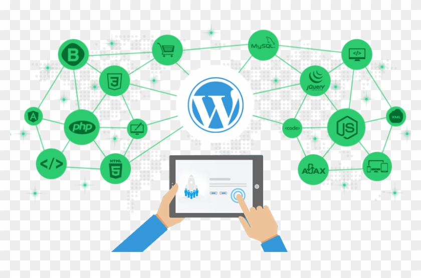 Circle Clipart #744902