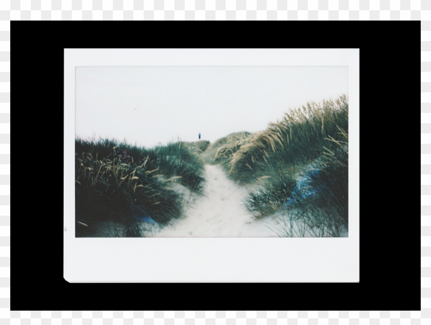 Tree Clipart #746207