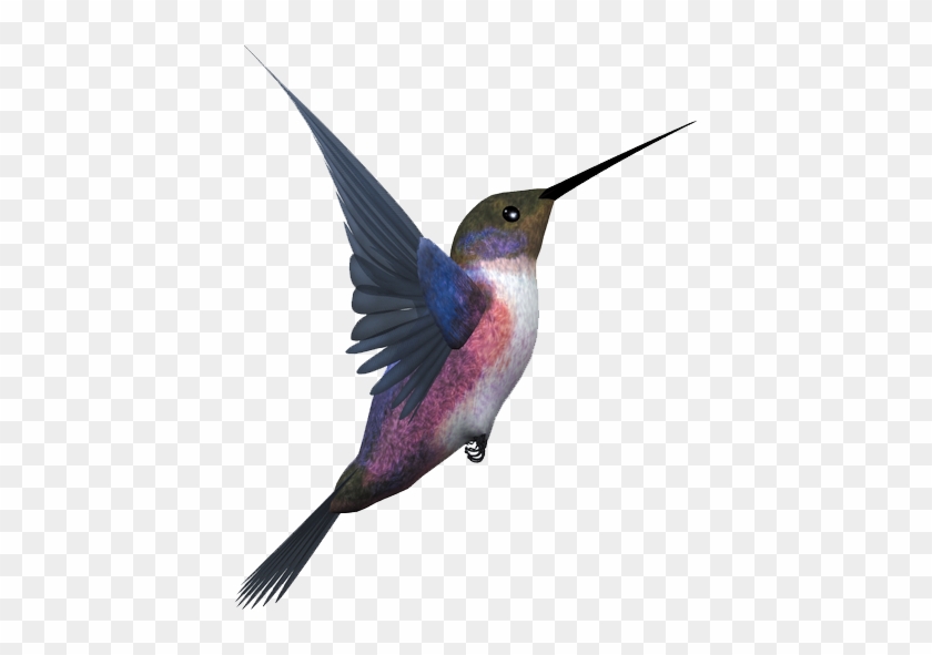 Flying Bird Png Free Clipart
