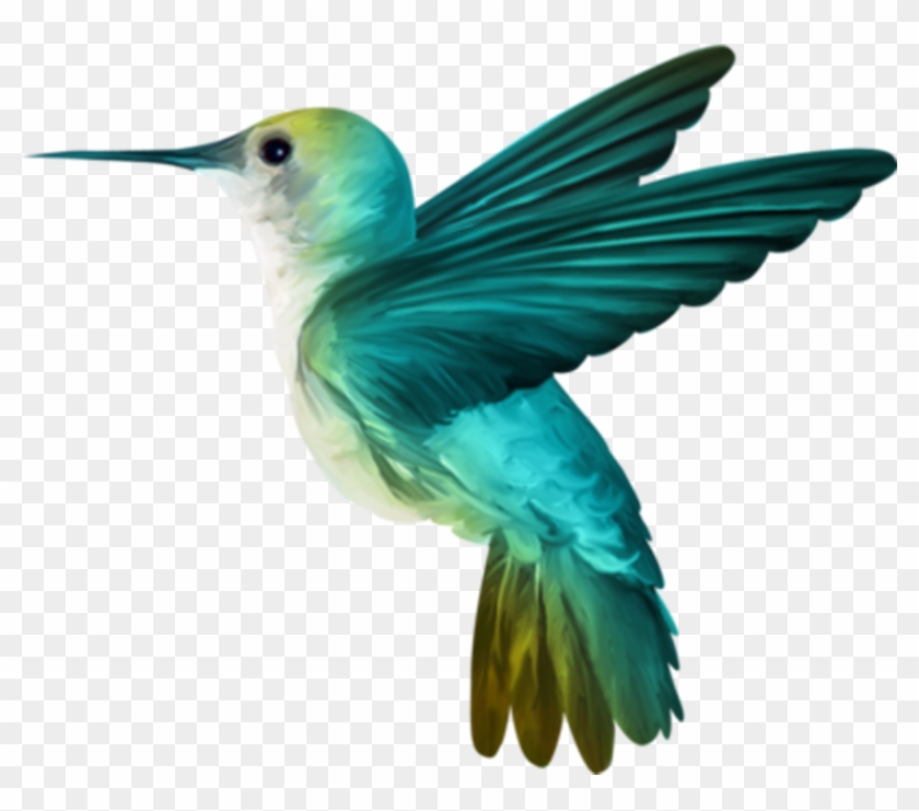 Hummingbird Png Clipart #746325